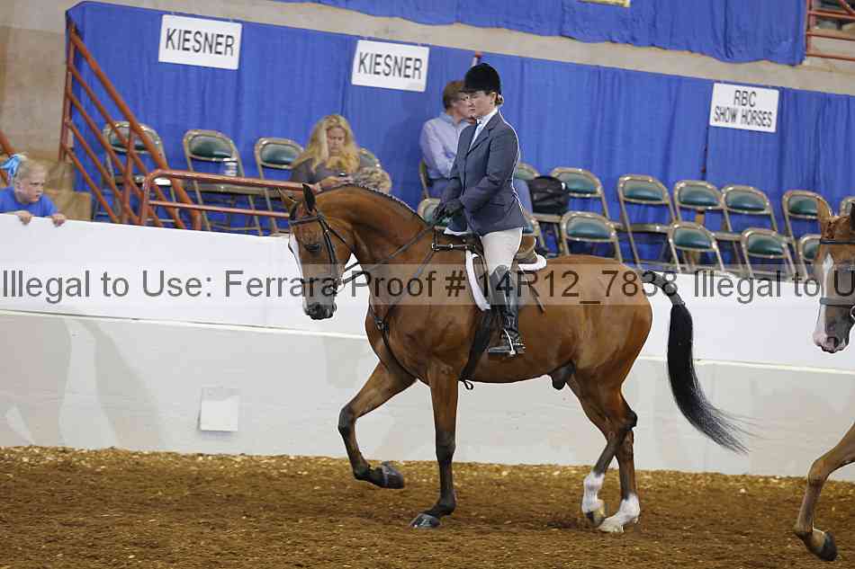Proof Number 14r12_7838