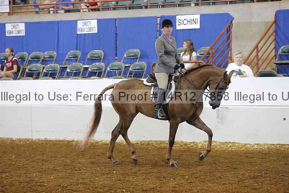 Proof Number 14r12_7858