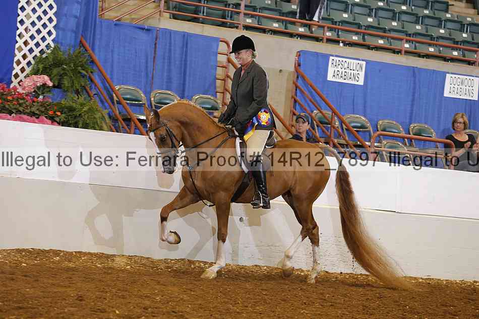Proof Number 14r12_7897