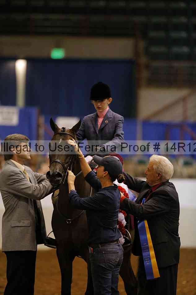 Proof Number 14r12_7928