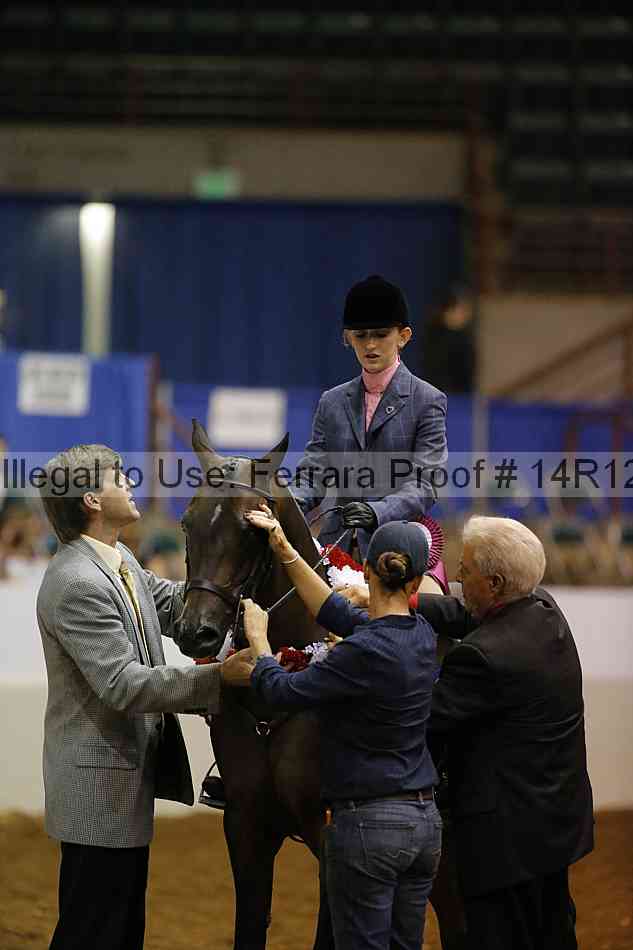 Proof Number 14r12_7929