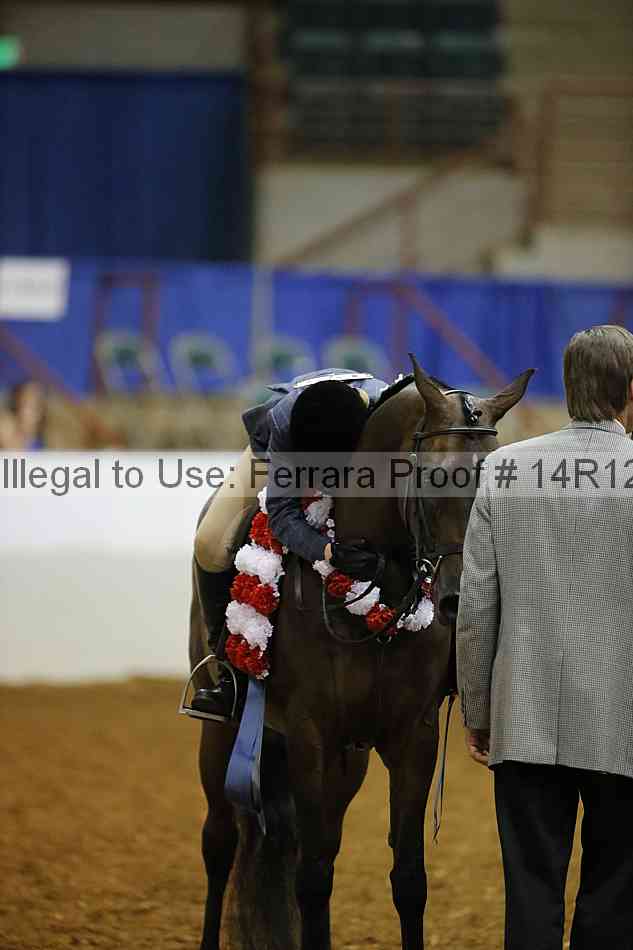 Proof Number 14r12_7933