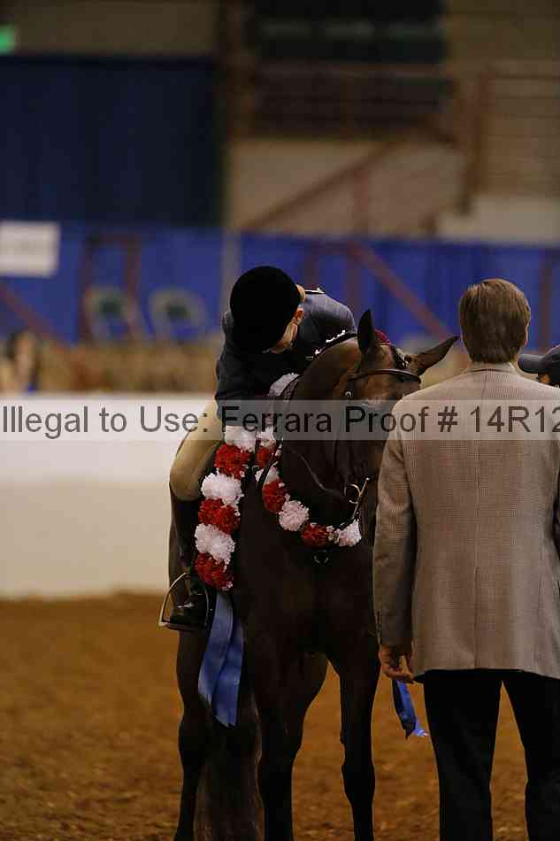 Proof Number 14r12_7935