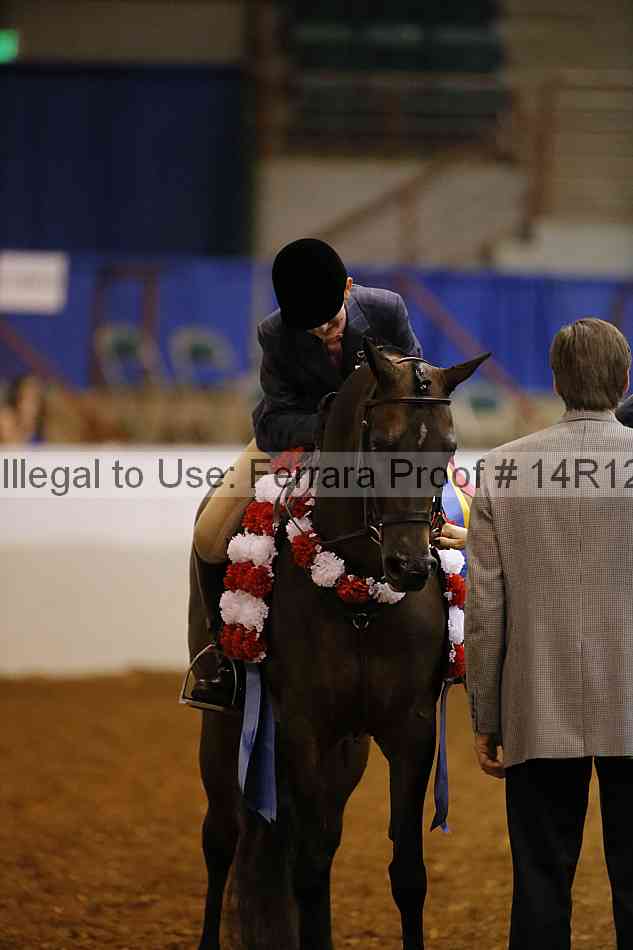 Proof Number 14r12_7936