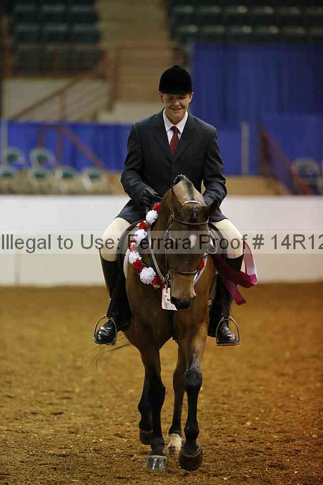 Proof Number 14r12_7950