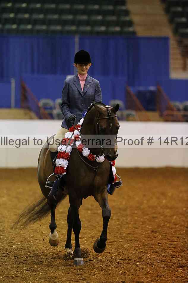 Proof Number 14r12_7953