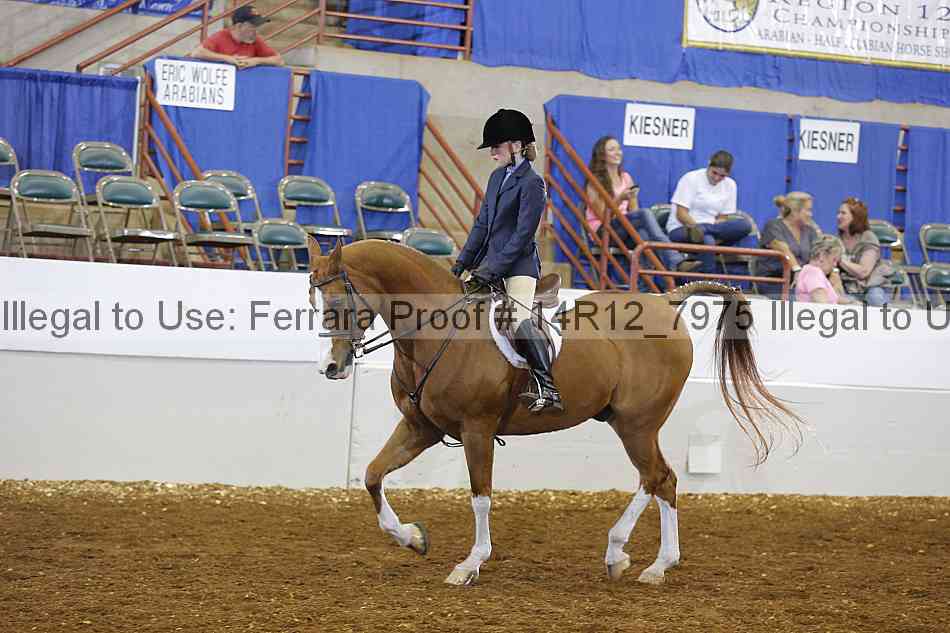 Proof Number 14r12_7975
