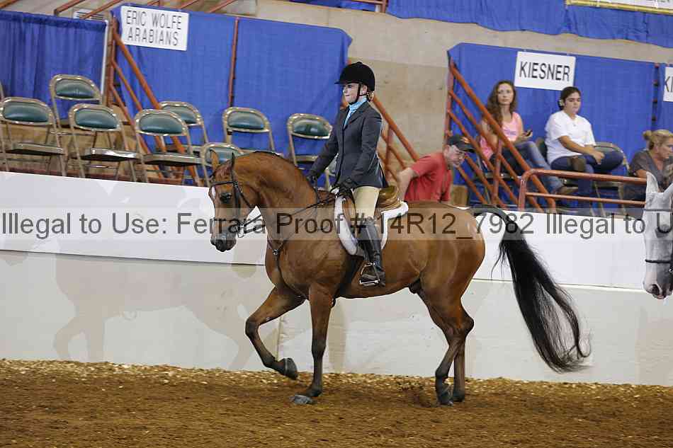Proof Number 14r12_7982