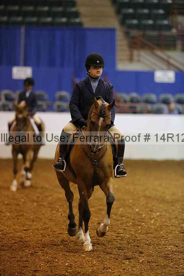 Proof Number 14r12_7985
