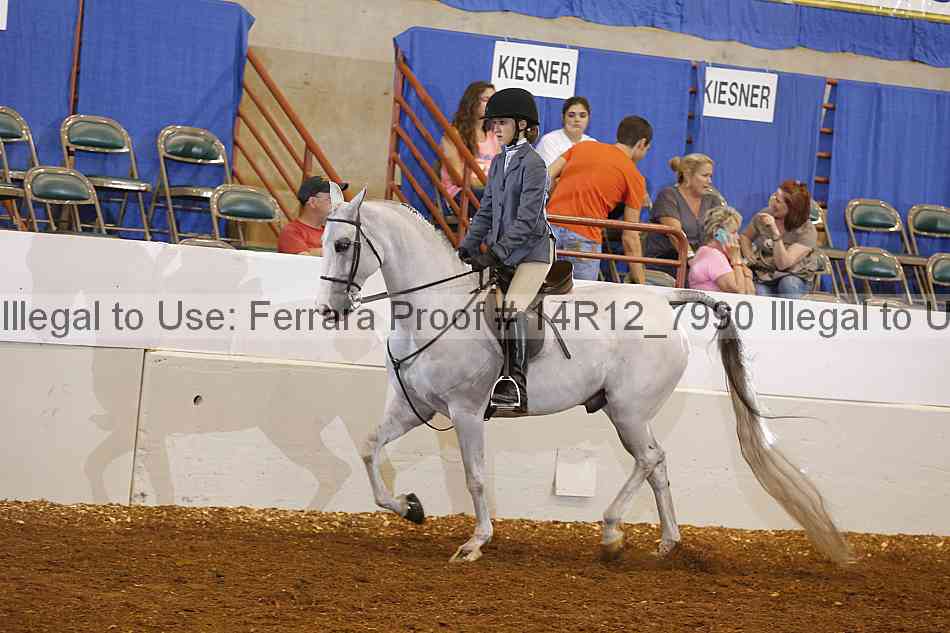 Proof Number 14r12_7990