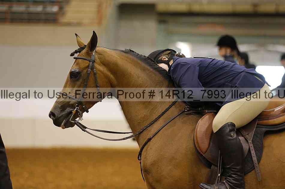 Proof Number 14r12_7993