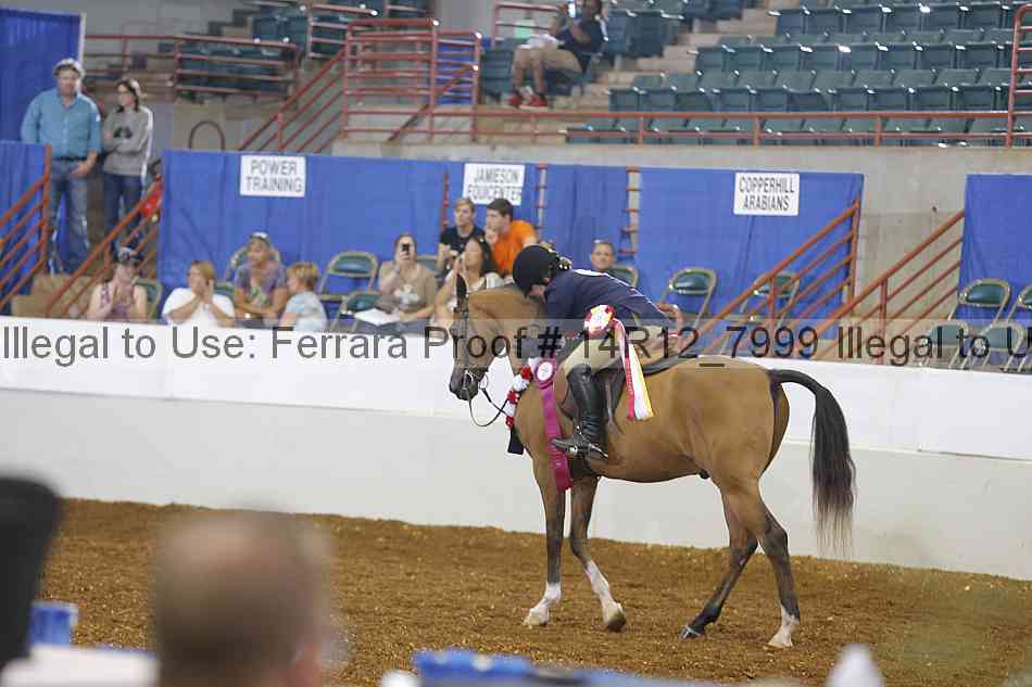 Proof Number 14r12_7999