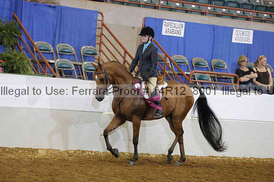 Proof Number 14r12_8001