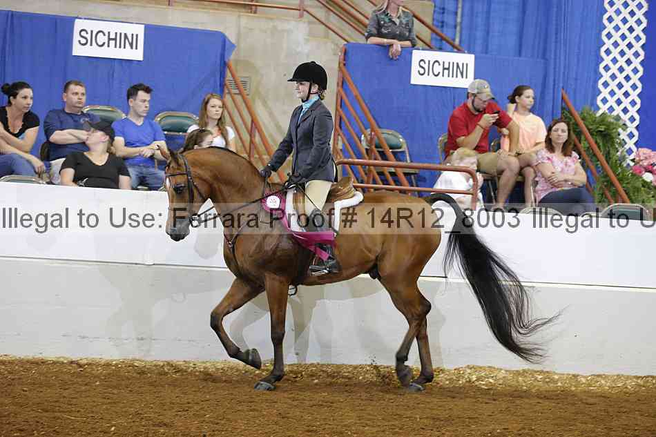Proof Number 14r12_8003