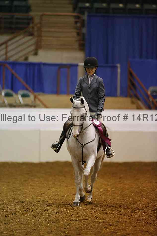 Proof Number 14r12_8009