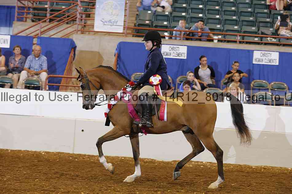 Proof Number 14r12_8018