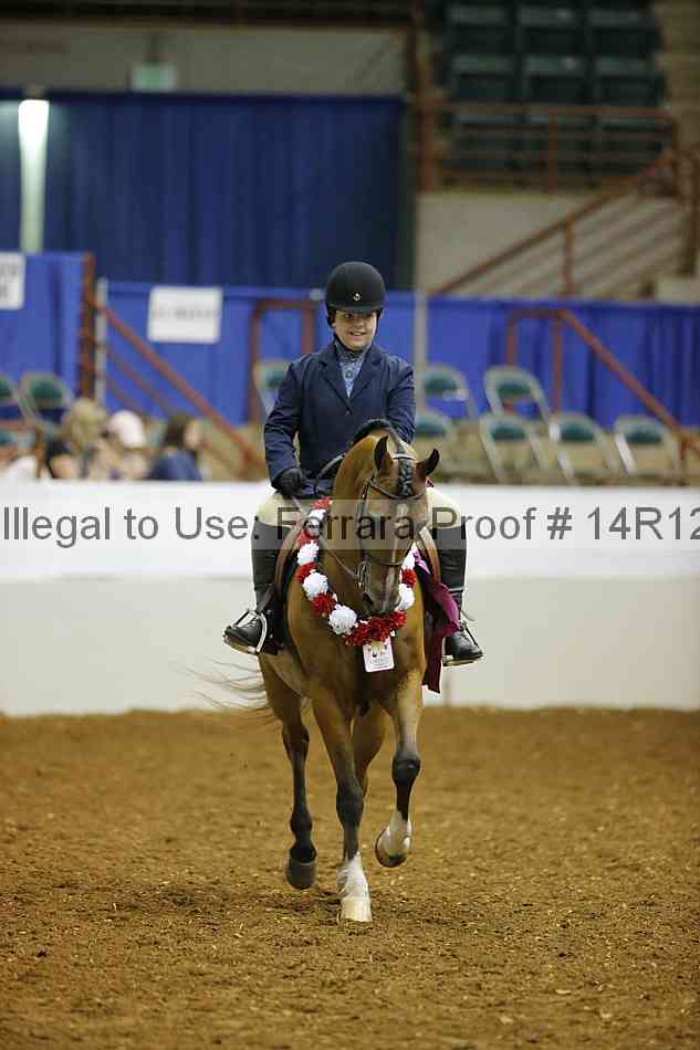 Proof Number 14r12_8019