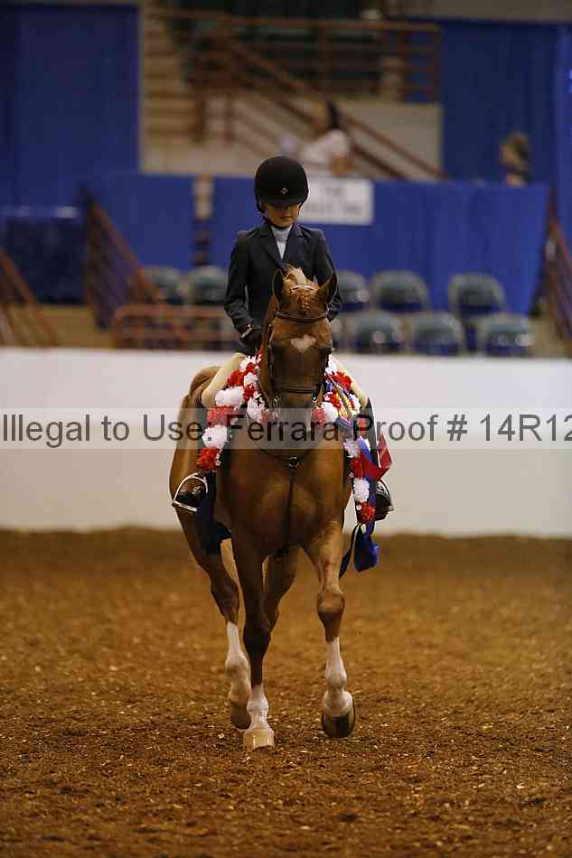 Proof Number 14r12_8022