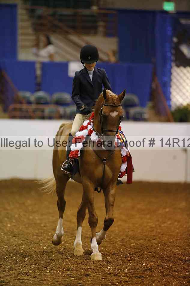 Proof Number 14r12_8024