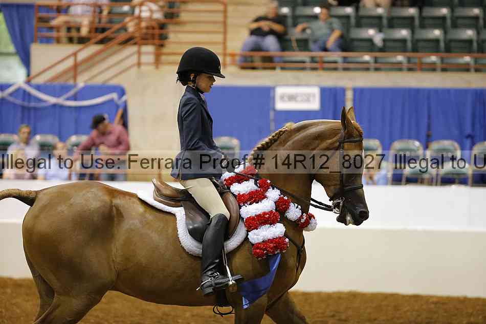 Proof Number 14r12_8027