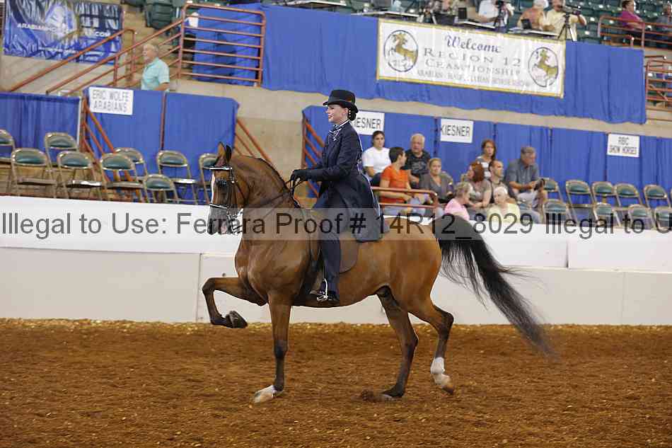 Proof Number 14r12_8029