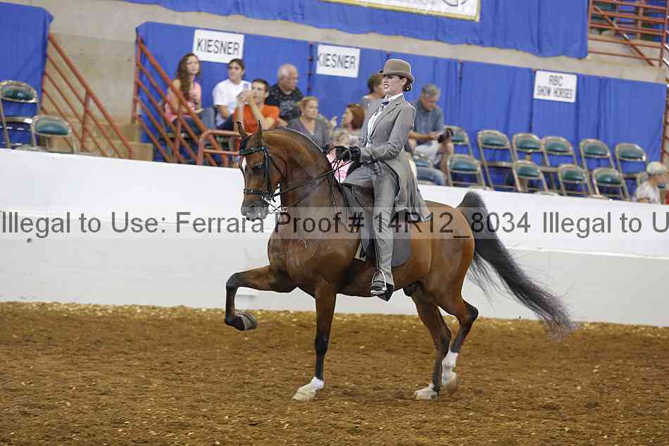 Proof Number 14r12_8034
