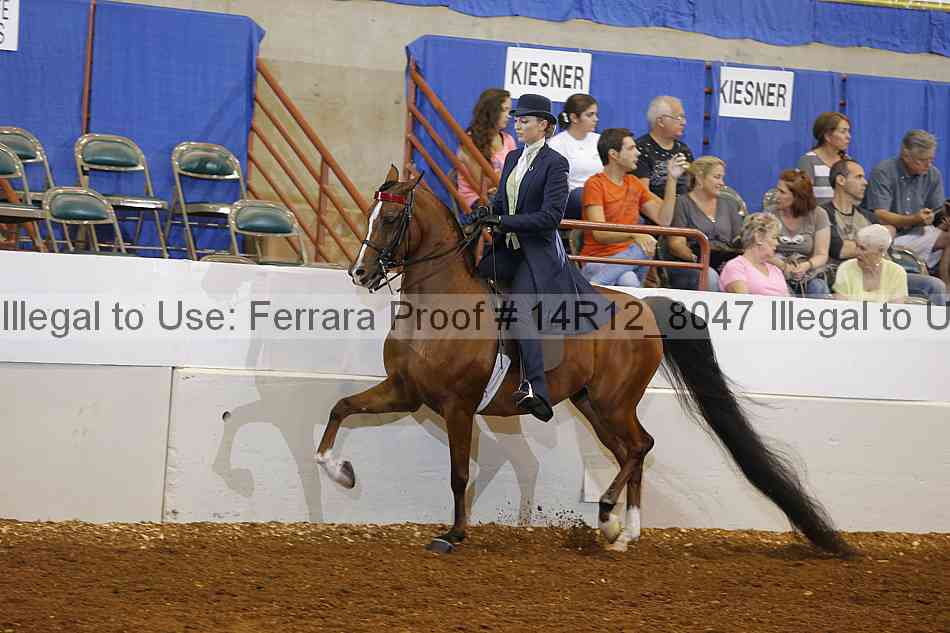 Proof Number 14r12_8047