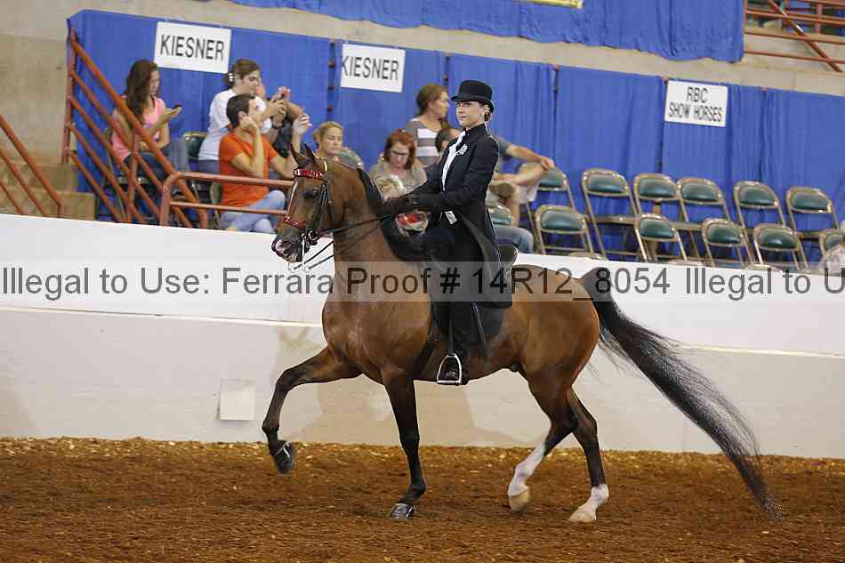 Proof Number 14r12_8054