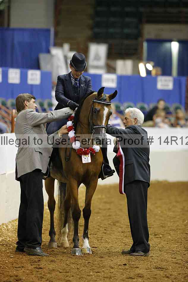 Proof Number 14r12_8062