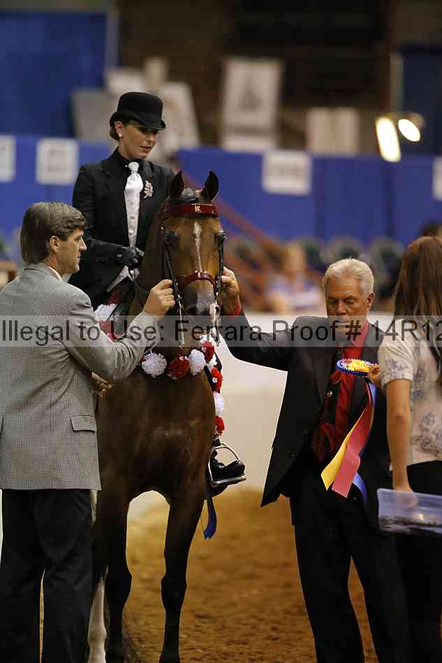 Proof Number 14r12_8077