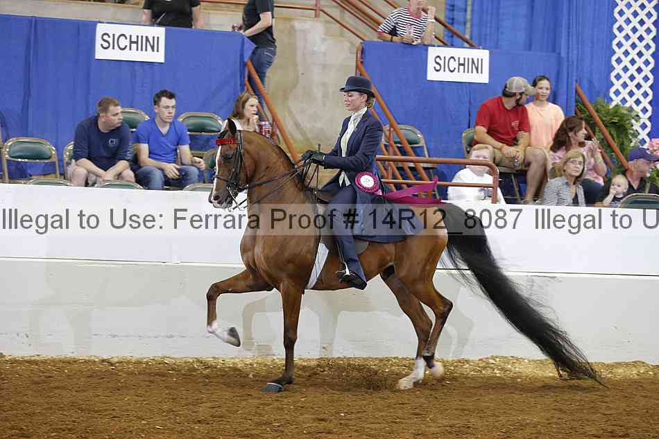 Proof Number 14r12_8087