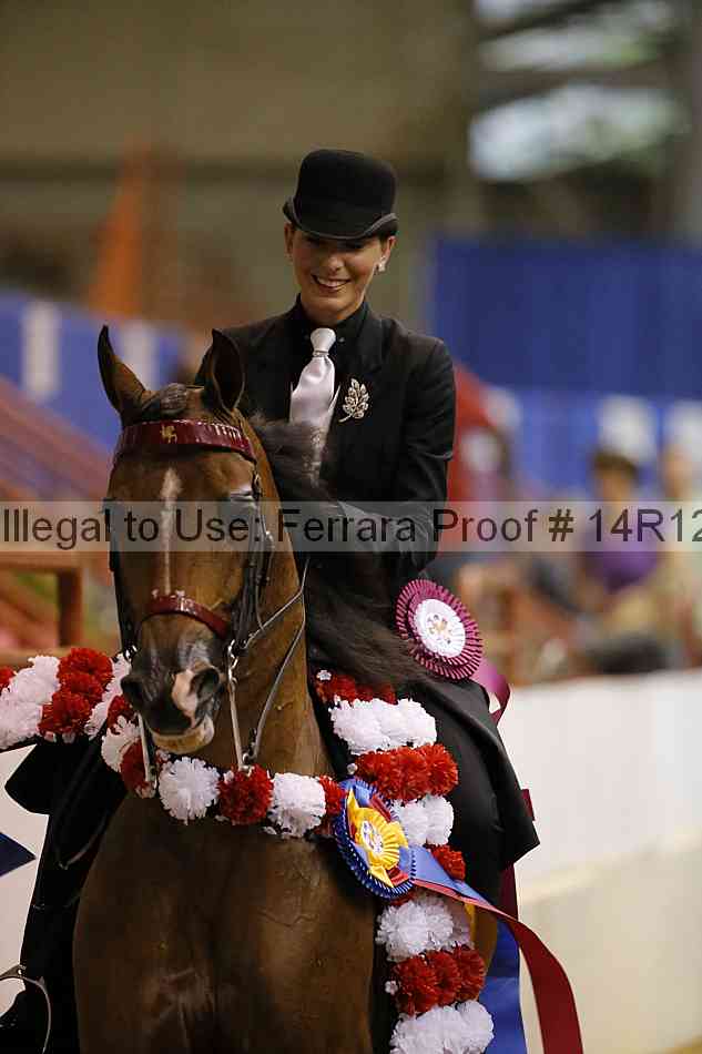 Proof Number 14r12_8113
