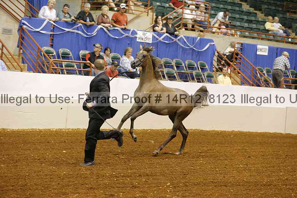 Proof Number 14r12_8123
