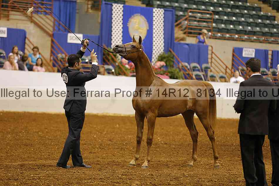 Proof Number 14r12_8134