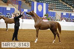 14r12_8143 thumbnail