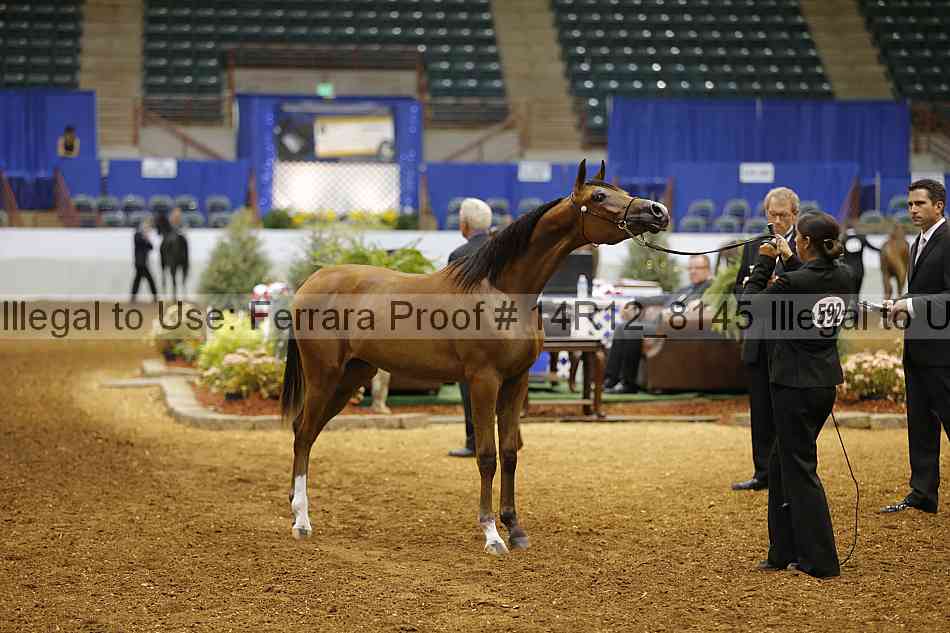 Proof Number 14r12_8145