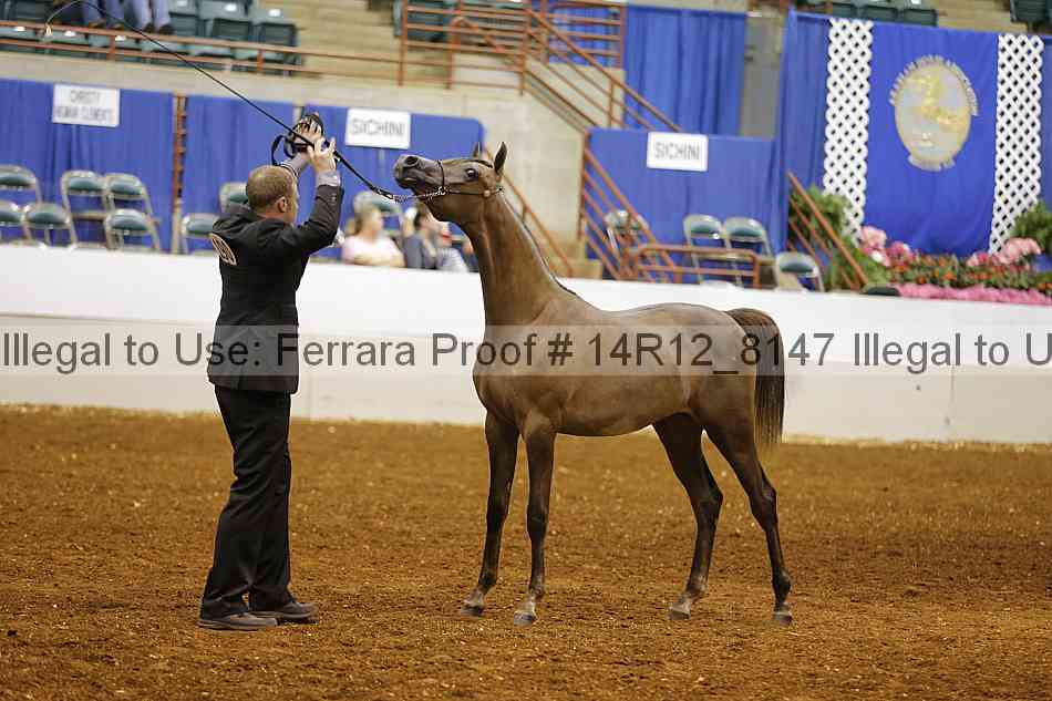 Proof Number 14r12_8147