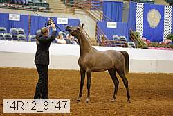 14r12_8147 thumbnail