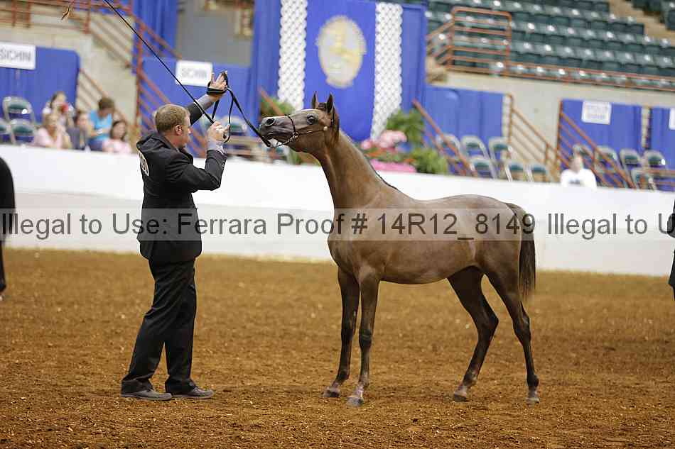 Proof Number 14r12_8149
