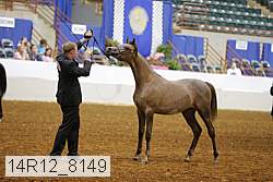 14r12_8149 thumbnail