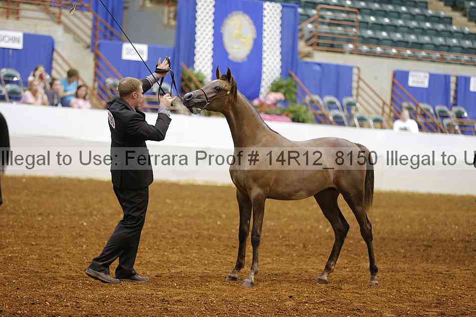 Proof Number 14r12_8150