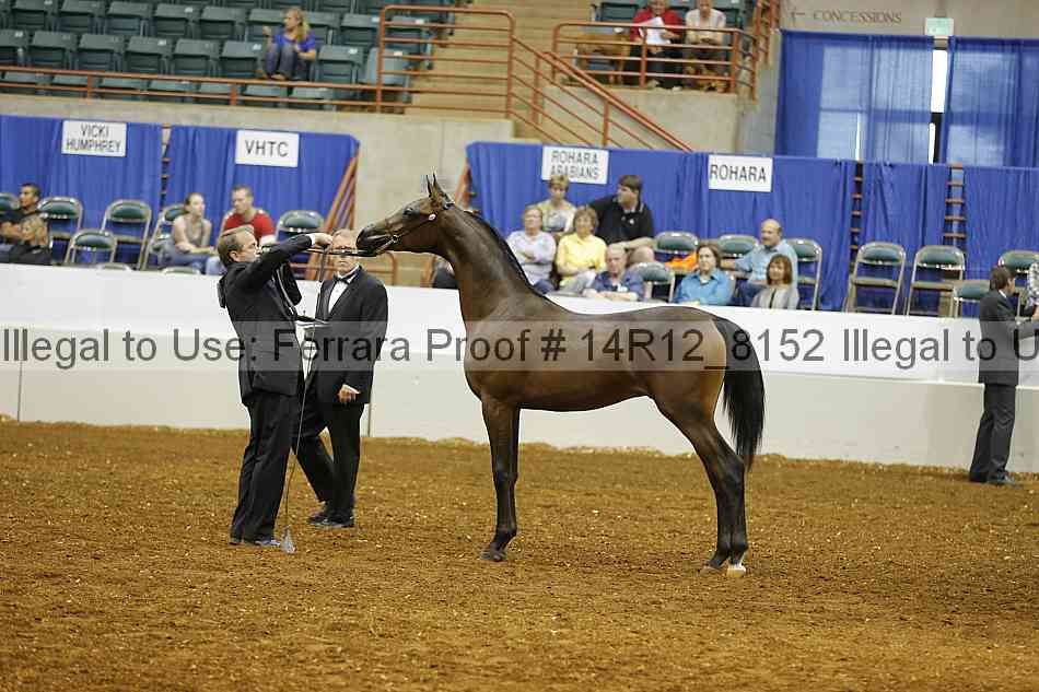 Proof Number 14r12_8152