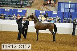 14r12_8152 thumbnail