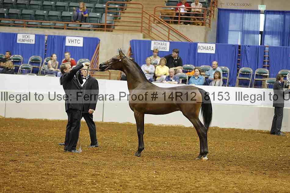 Proof Number 14r12_8153