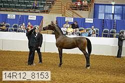 14r12_8153 thumbnail