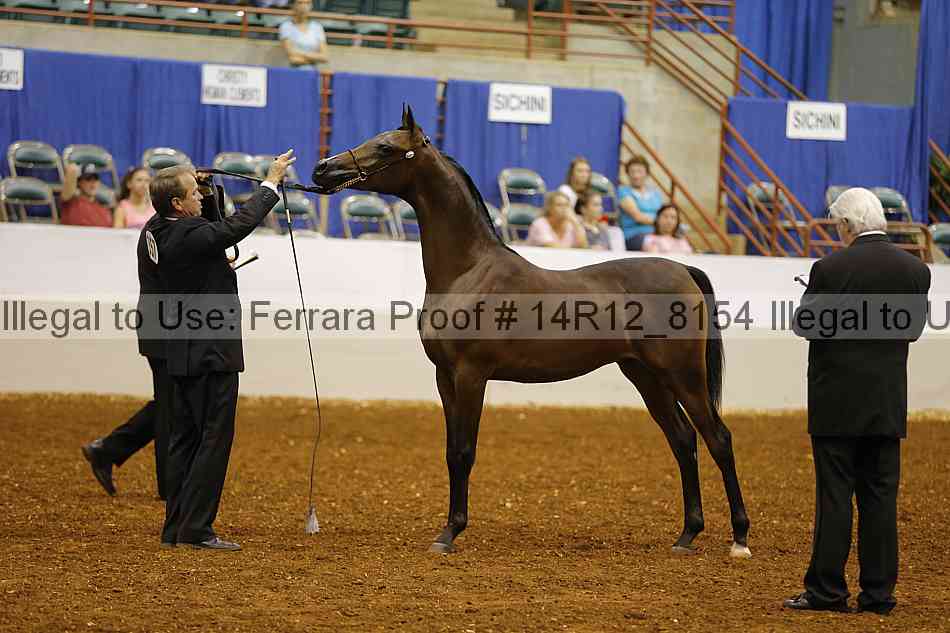 Proof Number 14r12_8154