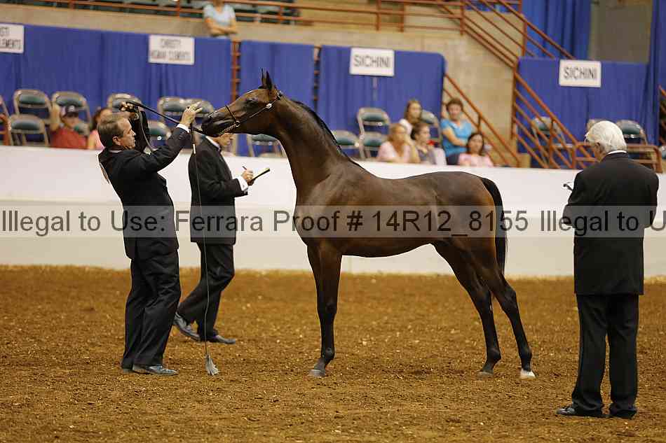Proof Number 14r12_8155