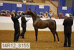 14r12_8155 thumbnail