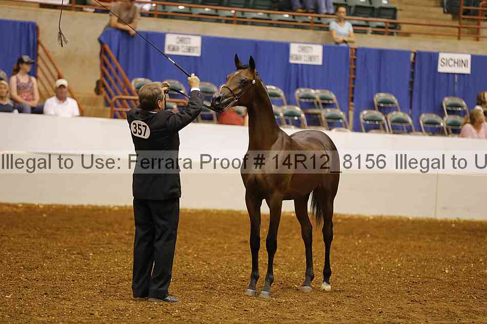 Proof Number 14r12_8156