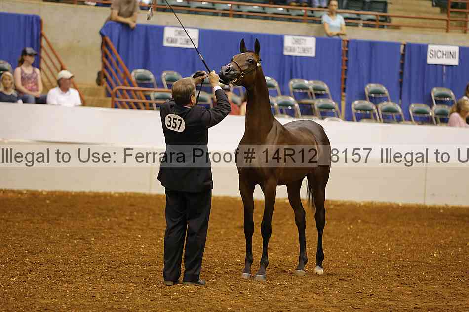 Proof Number 14r12_8157